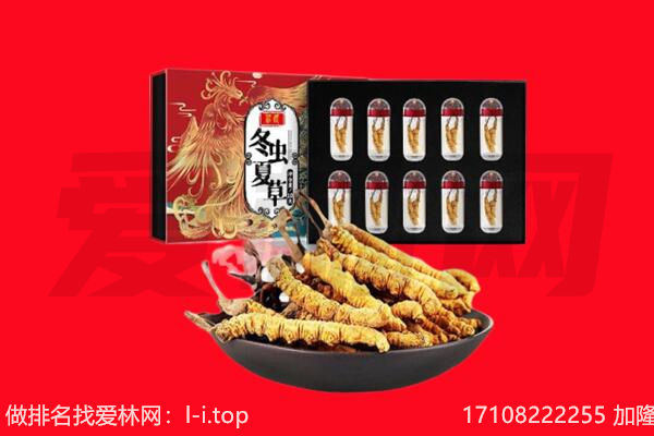 济南平阴县回收虫草.jpg